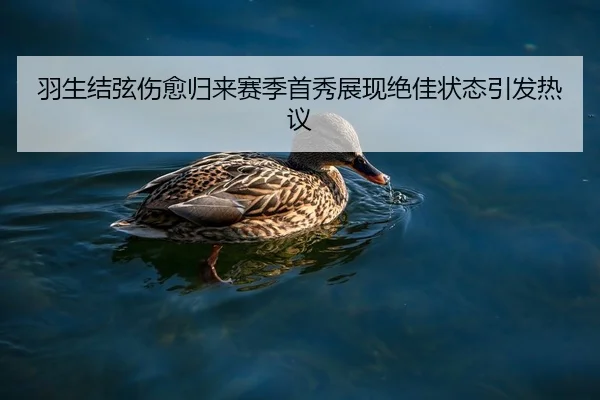 羽生结弦伤愈归来赛季首秀展现绝佳状态引发热议